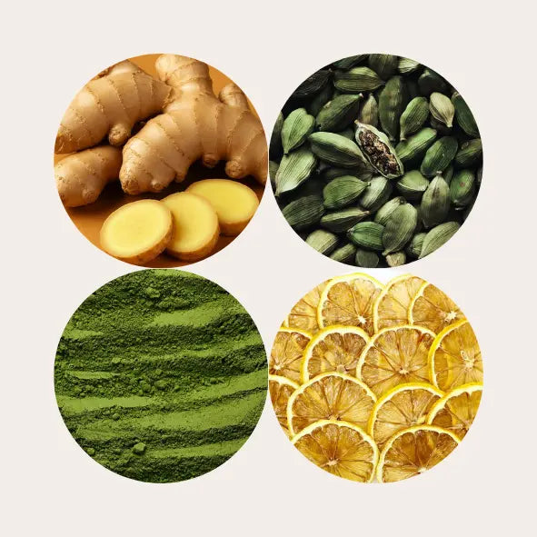 Élixir Étoilé : Miel Infusé Gudy-Fudy